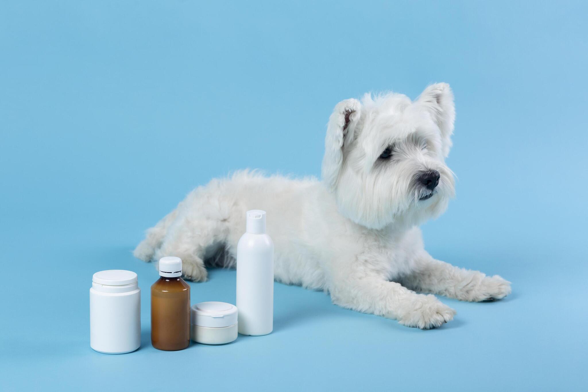 What is the Safe Dose of Fish Oil and Vitamin E for Dogs?