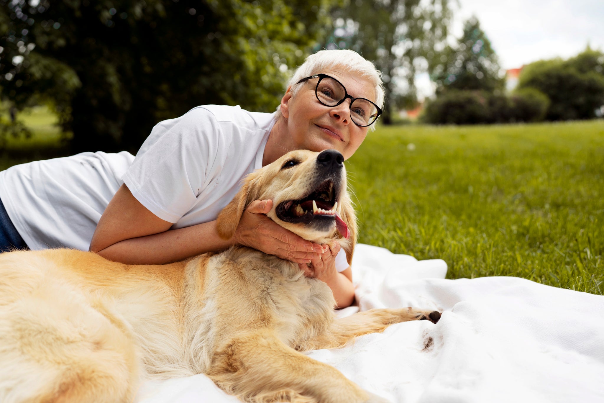 What’s the Best Multivitamin for Senior dogs?